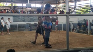 maasin cockpit arena