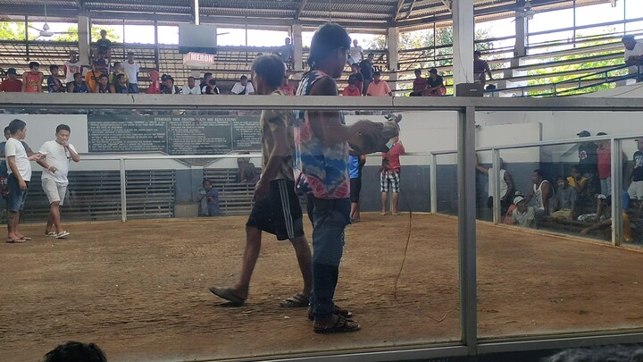 maasin cockpit arena