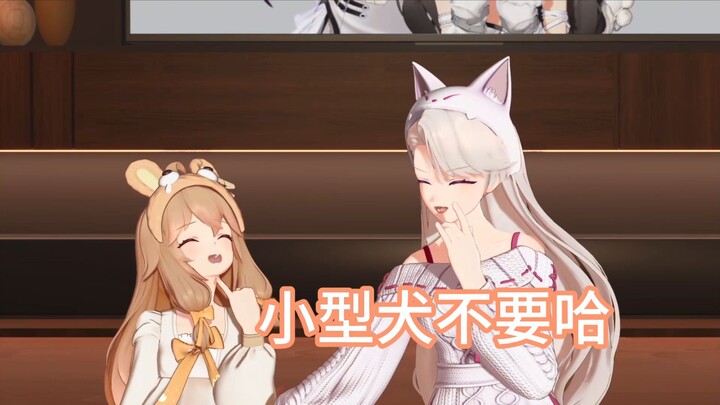 อยากเป็นหมาของคุณไนหลินจัง แต่คุณไนหลินชอบหมาพันธุ์ใหญ่ไม่ใช่พันธุ์เล็กเลย