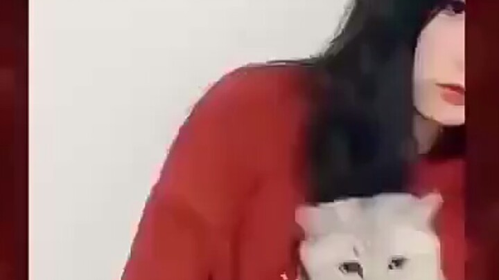 猫:握草?！。。。。