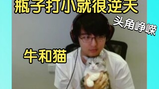 【瓶子君152】猫猫和屏保可爱捏，打小就很逆天的瓶子