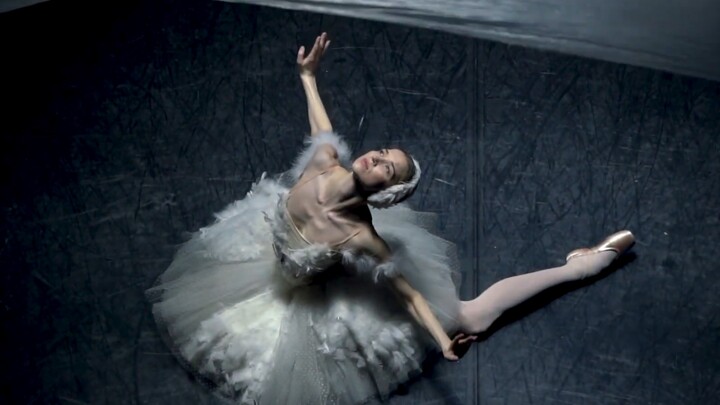 [Film pendek balet yang indah] "The Dying Swan" oleh Natalia Somova