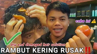 rambut kering dan rusak ●coba cara alami ini