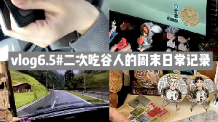 Vlog 6.5 | A Otaku’s Weekend Routine | Gaming, Zelda, Overwatch Fan Art, The Great Escape, Rusty Lak