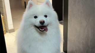 Aku tidak tahu apa yang sedang dilakukannya, tapi menurutku dia sangat lucu deh