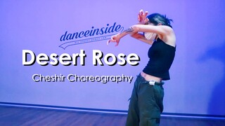 【Cheshir】Koreografi halus dari adik perempuan bertato yang tampan + "Desert Rose" dadakan