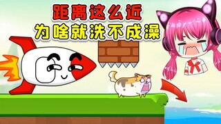 帮狗狗洗澡？一小段路，我走了N天！