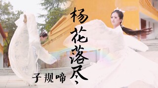 【南威】杨花落尽子规啼