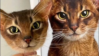 Quy trình sản xuất mô phỏng Abi
