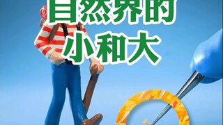 ความเล็กและความใหญ่ในธรรมชาติ