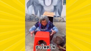 ผ่อนคลายกับสายฮา : ฮาโพดโพ