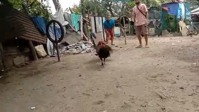 mata lang ang sugat yng 4x winner namin