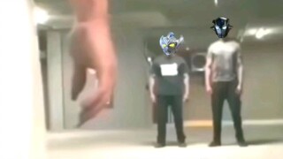 When Taiga meets Tregear in the parking lot