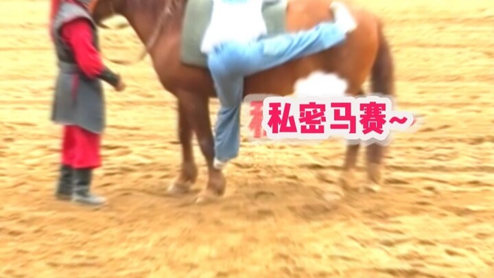 ในดวงตาของม้าไม่มีแม้แต่ร่องรอยของความเหนื่อยล้า ทั้งหมดคือความตื่นเต้นที่ได้พบกับคนรู้ใจ