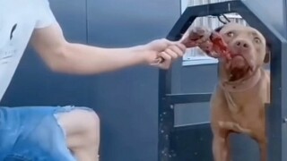 จะกินมั้ยล่ะ วางไว้ตรงหน้าแล้วนะ