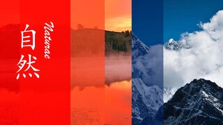 我的世界偶然音乐《自然Naturae》