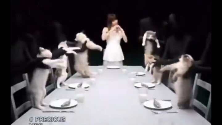 Xin lỗi sếp, vừa nãy em không nhận ra sếp.