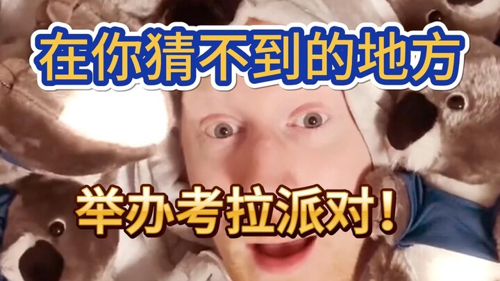 [Nordic Japanese Pro] A koala party in a place you’d never expect!