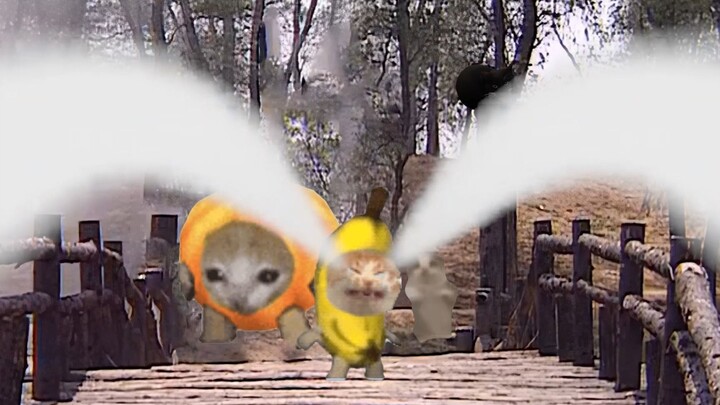 The banana cat's tears scare away a million-strong army.