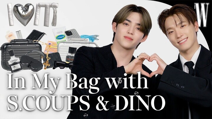 【ترجمة بالصينية الوسطى لسوتشو】 مقابلة سيفنتين إس.كوبيز ودينو في كوريا 240923