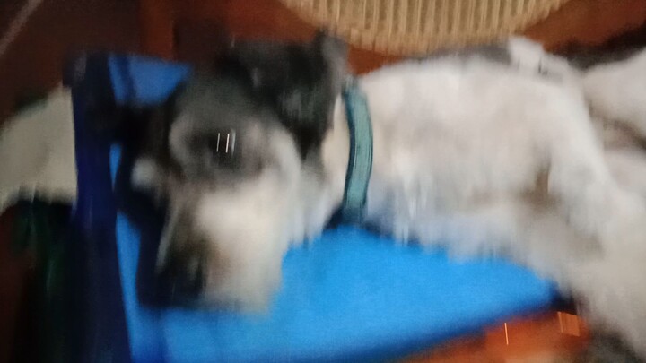 HAPPY NEW YEAR GUYS 🎊 🎉🥳