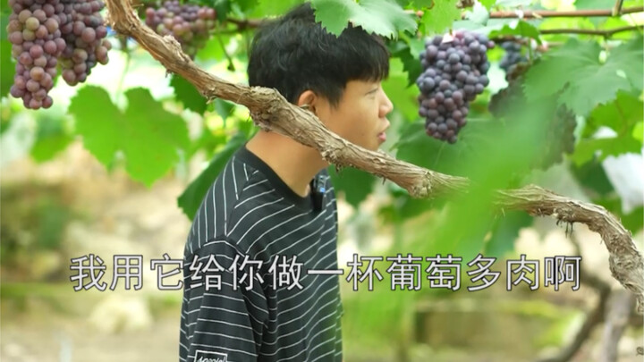 夏日一定要实现一次葡萄自由！
