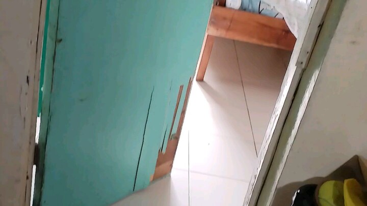 bigboy taba my oldest cat