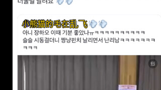 【中字】挥舞猫咪拳的章小熊猫 | I人的独自兴奋时刻 | 可爱洗了！一口吃掉！