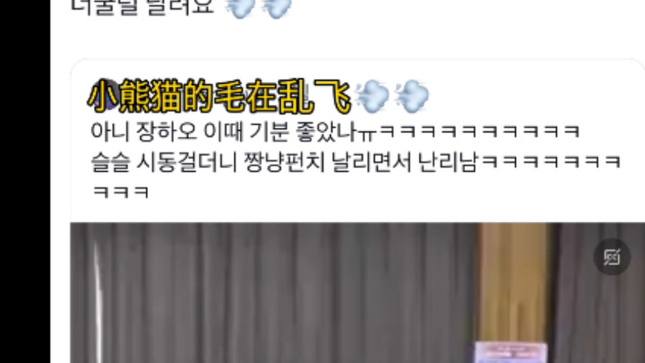 [CC] Xiao Panda Waving Cat Fists | Introvert's Solo Excitement Moment | So Cute It's Washed Away! Ea