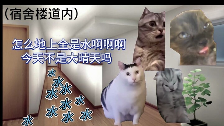[Cat Meme] About how my water card caused a flood in the entire building