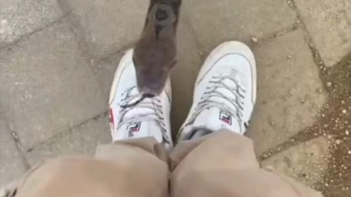 Pacar saya sudah menjadi setan, saya sangat takut