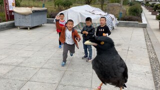 Usually swaggering around, but as soon as I left the village entrance, a bunch of kids beat me up li