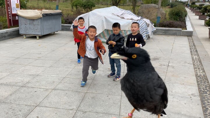 平时耀武扬威，刚出村口被一群小朋友欺负成这样