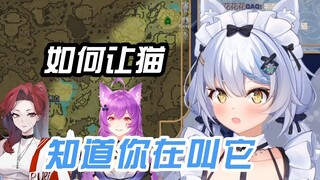 【速切 艾尔莎】如何让猫 知道你在叫她