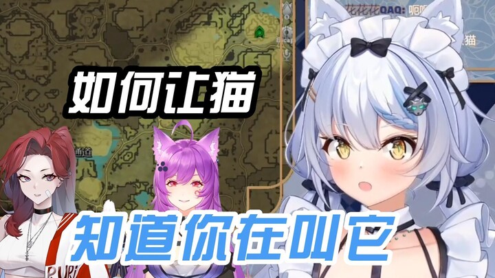 【速切 艾尔莎】如何让猫 知道你在叫她