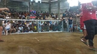 2nd fight DRAW @bugallon 2 hits ulutan using leipermclein x whites april 28, 2024