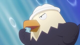 182 to 1 Eagle Sauce was voted out. If you want to fight Blue Star alone, you might as well go home 