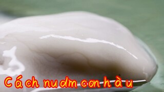 Cách nấu dầm con hàu