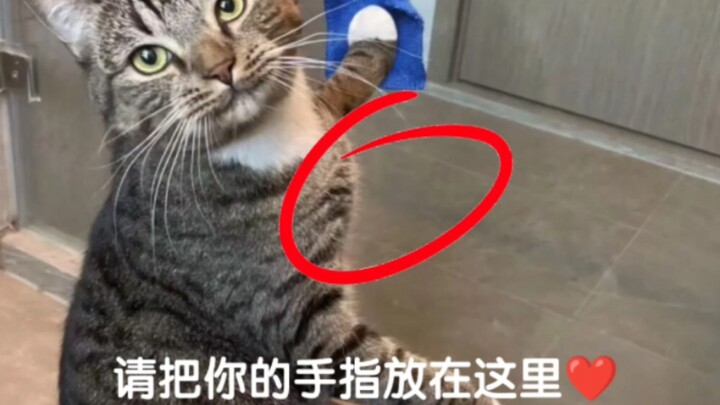 Put your finger here first.