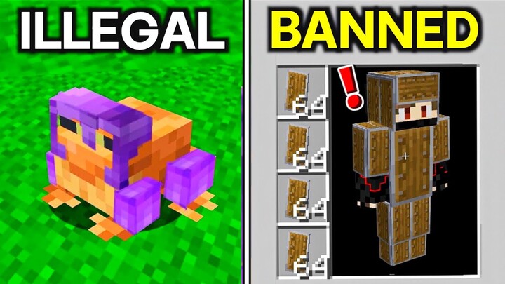 41 Minecraft Things Only Veterans Know