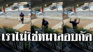 รวมคลิปตลกๆ : เราไม่ใช่หมาลอบกัด…เเต่เรากัดตรงๆเลย!!