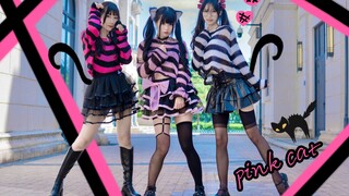 ❤️三只甜辣小野猫❤️Pink cat~