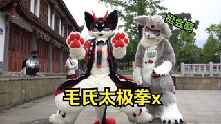 【FURRY】毛氏太极拳，现在开始~（小剧场）