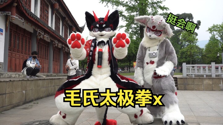 【FURRY】Taijiquan Keluarga Mao, sekarang dimulai~ (Panggung Kecil)