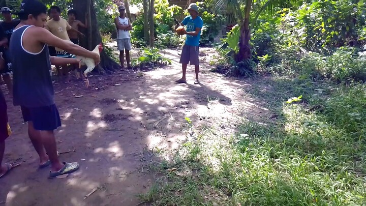 unang laban ni bulag. kinapitan ng sweete hehe. mata lang wala latay sa bulik bulag pero pumapalag