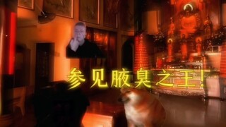 《你的腋毛觉醒了系统》