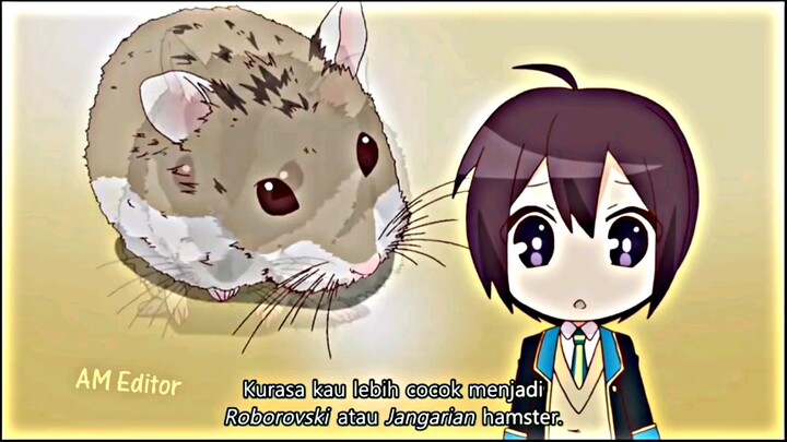 MOMEN KETIKA LU KETEMU HAMSTER