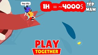 PLAY TOGETHER | Cách Mình Kiếm ~4000$ Tiền Trong 1Giờ  - Địa Điểm Câu Cá Nhiều Tiền Nhất Trong P4