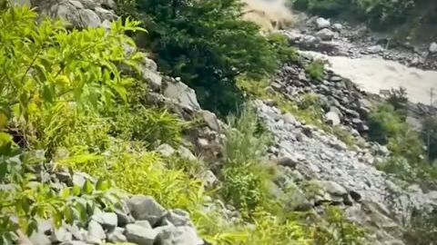 real video