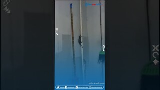 Random Banget! Aksi Pria Kesal Kerap Diganggu Tikus, Langsung Dikerjain Pakai Minyak